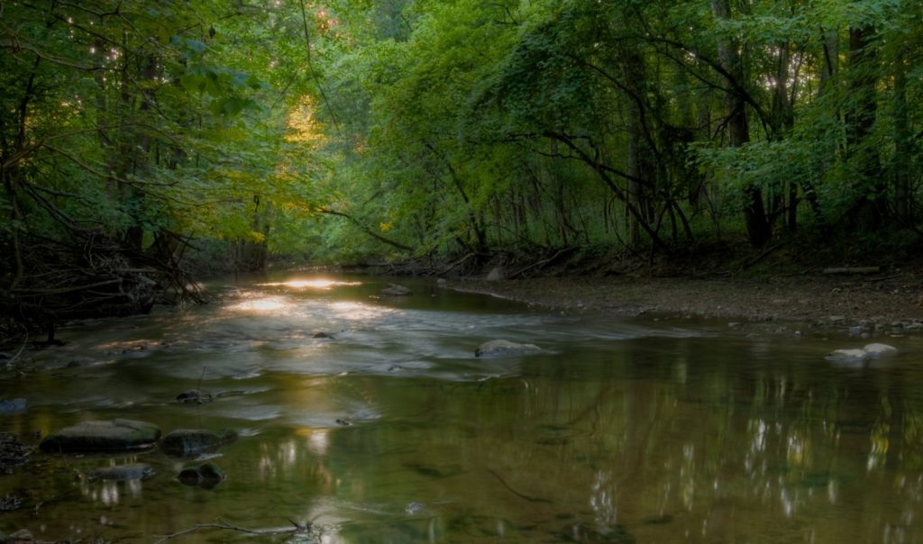 Barrett Nature Preserve