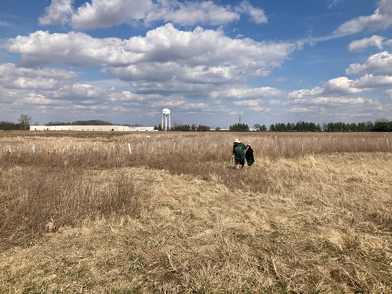 A man in a field with a trash bag looking for things to clean up