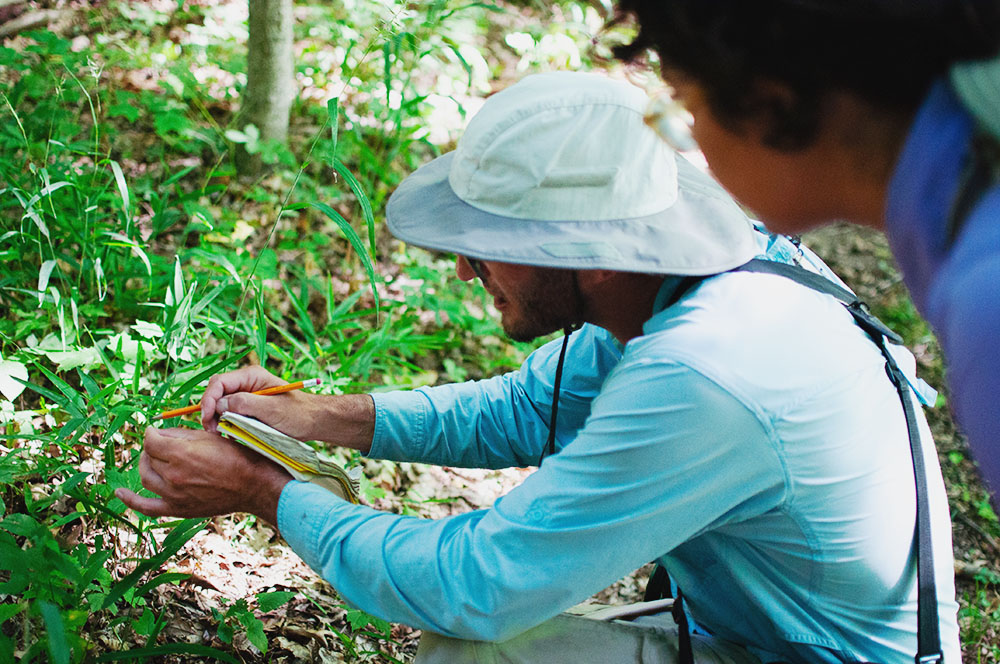 Nathaniel Pilla conducting a botanical inventory