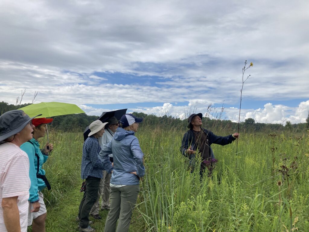 Preserve steward John Laatsch shows a group of participants the wildflowers of the prairie at Pehkokia Woods