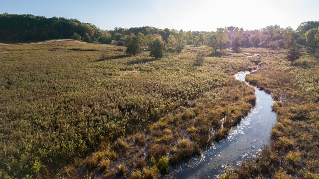 Jesse and Agnes Riegsecker Natural Area wetlands in Elkhart County, Indiana.