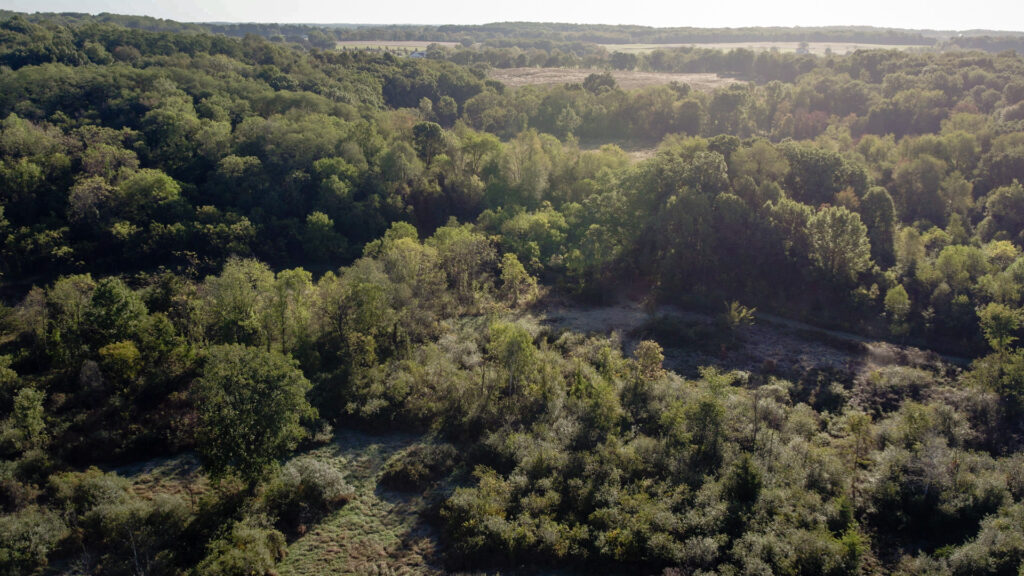Jesse and Agnes Riegsecker Natural Area forest in Elkhart County, Indiana.