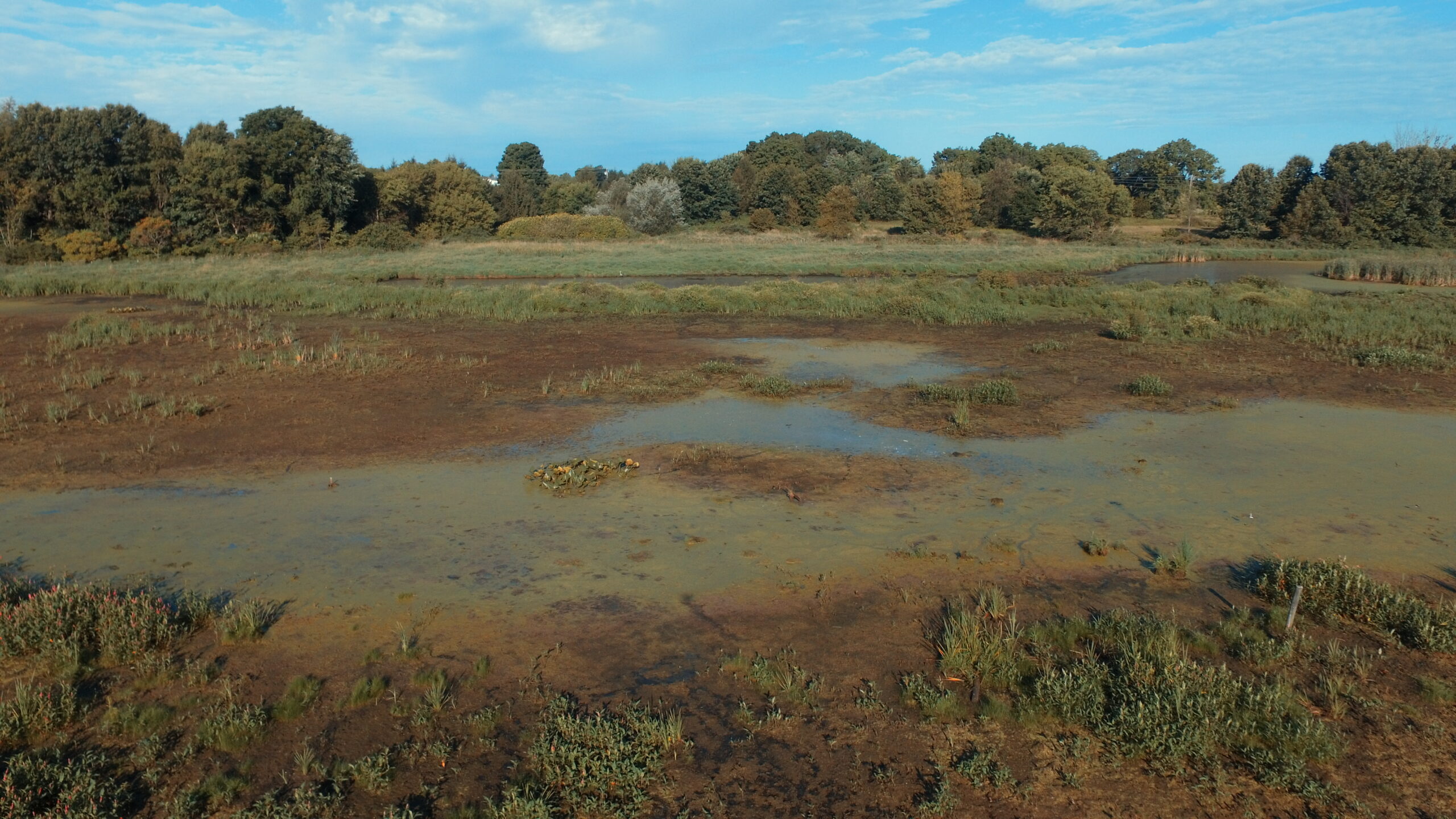Quog Lake within the North Branch Elkhart River priority area