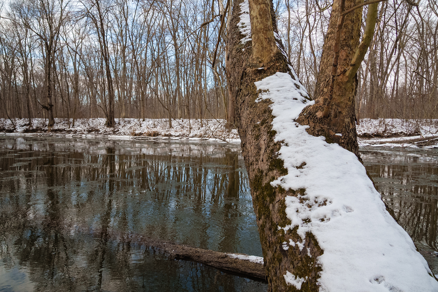 Tippecanoe river at Shingle Oak Ridge