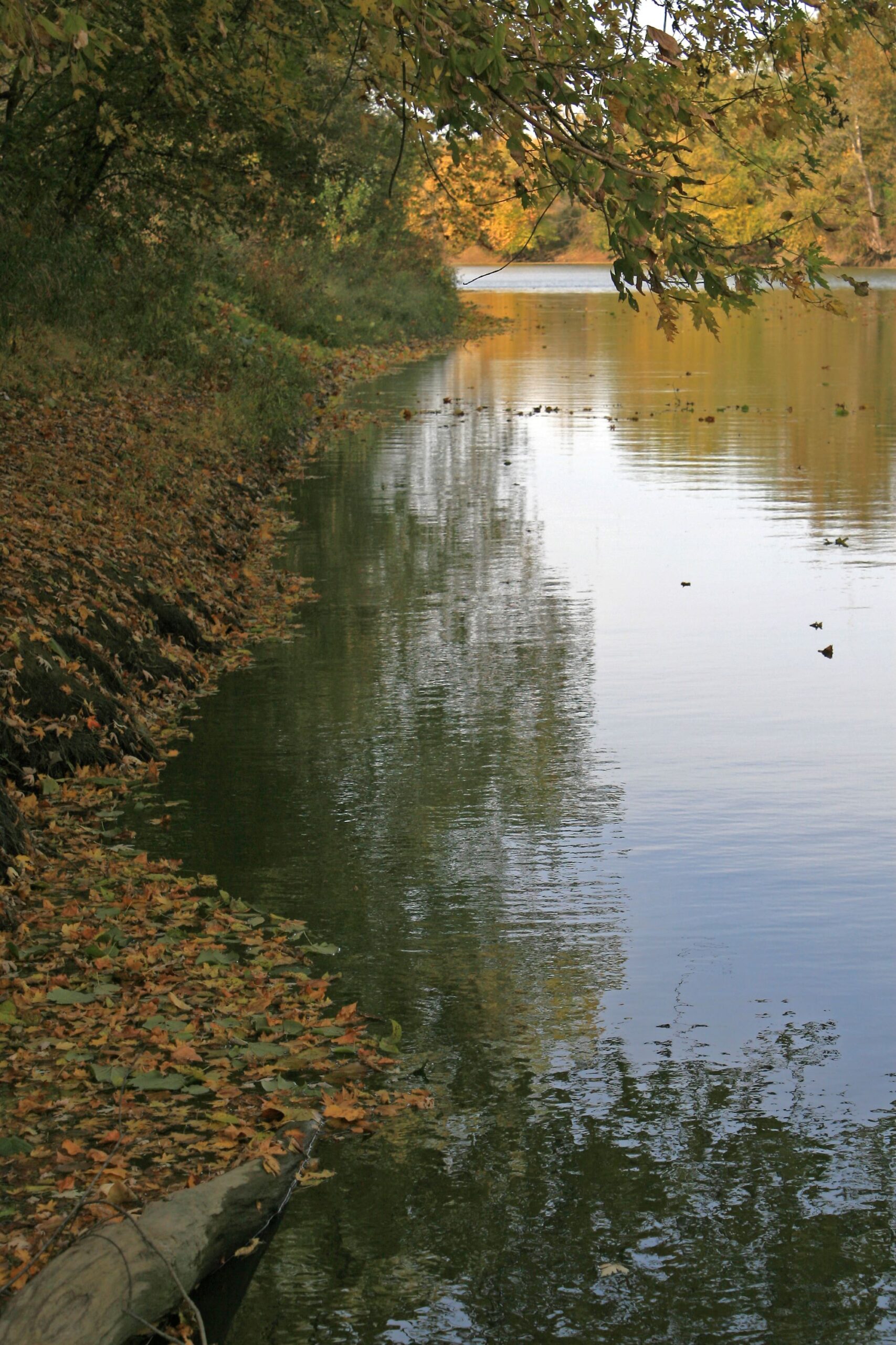 Fall view of the Wabash River from the banks at Hanging Rock National Natural Landmark