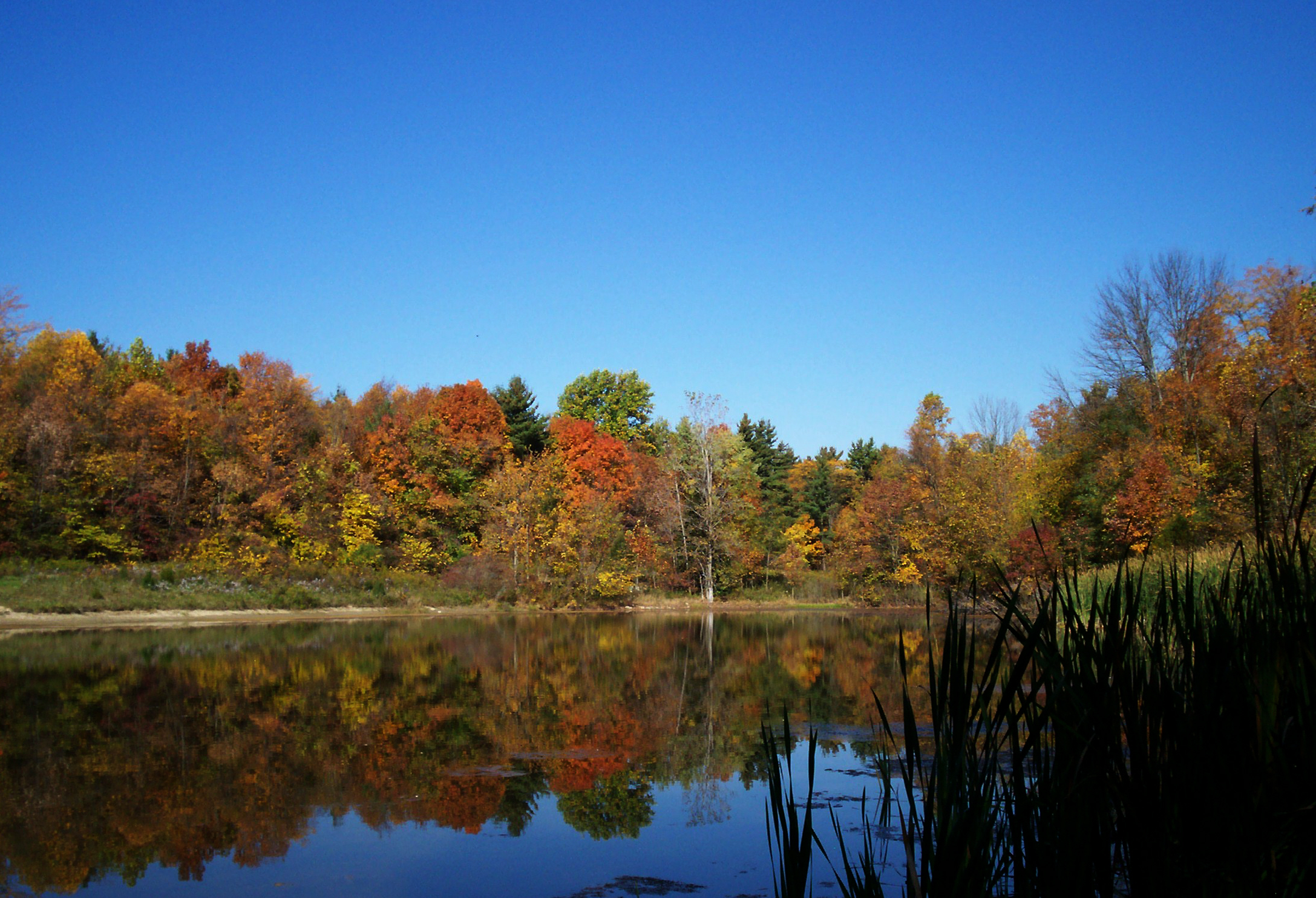 Fall color reflections on the Salamonie River